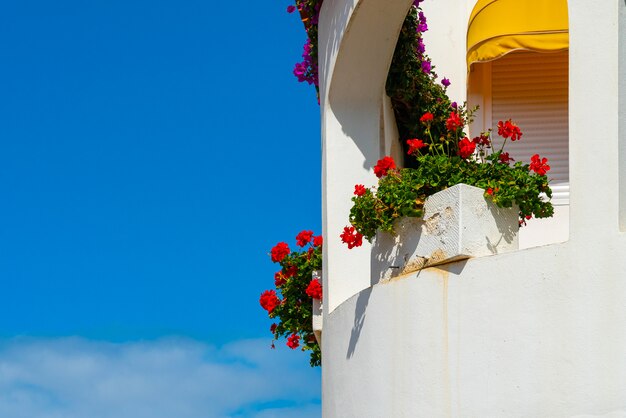 Balcón blanco con flores rojas contra el cielo azul brillante, Puerto de la Cruz, Tenerife, España