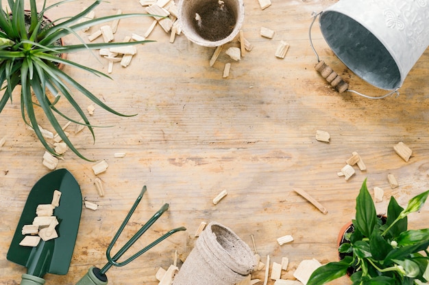 Foto gratuita balde vacío; maceta de turba herramientas de jardinería; y planta en maceta dispuesta sobre superficie de madera