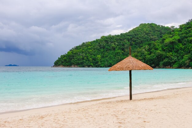 Bali caimán Seychelles bahía Vietnam