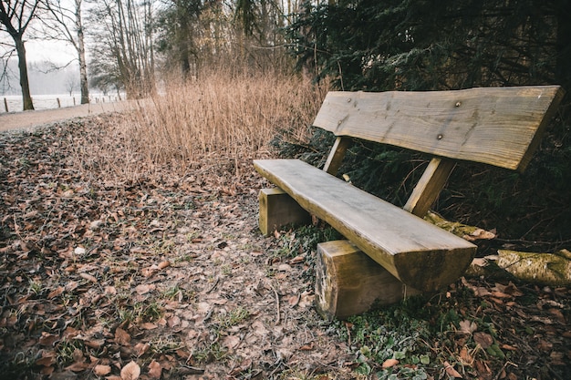 Banco de madera en un parque rodeado de vegetación con un lago al fondo durante el otoño