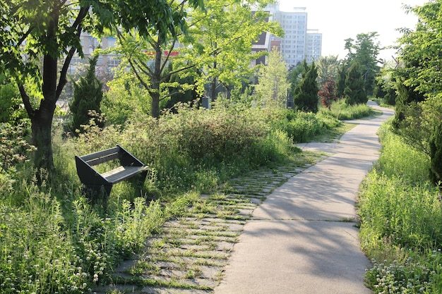 Banco en un parque en Corea del Sur