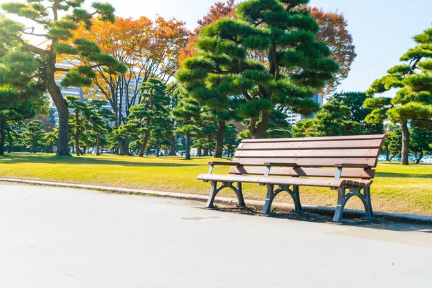 Banco en el parque de otoño