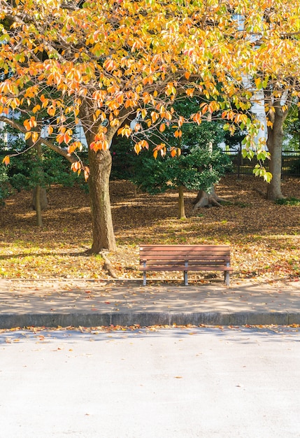 Foto gratuita banco en el parque de otoño