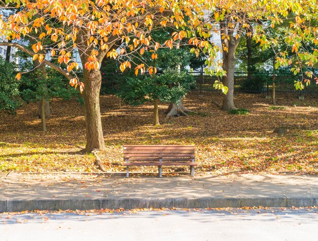 Banco en el parque de otoño