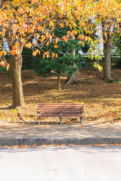 Banco en el parque de otoño