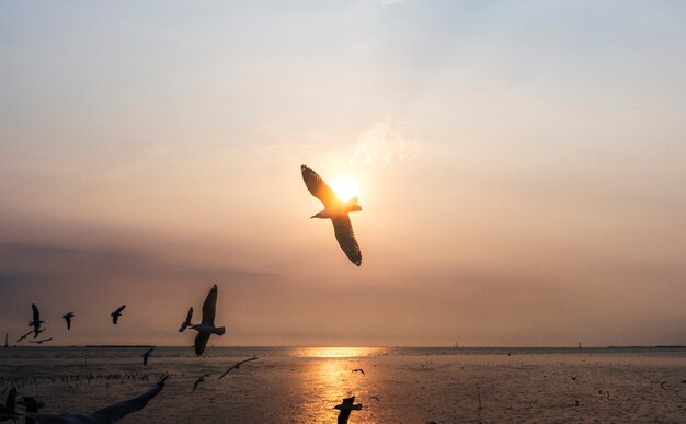 Bandada de gaviotas volando en el cielo.