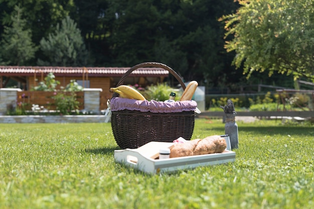 Bandeja y cesta de comida fresca sobre hierba verde.