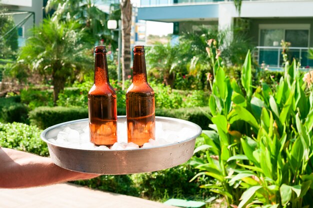 Bandeja de mano con botellas de hielo y cerveza