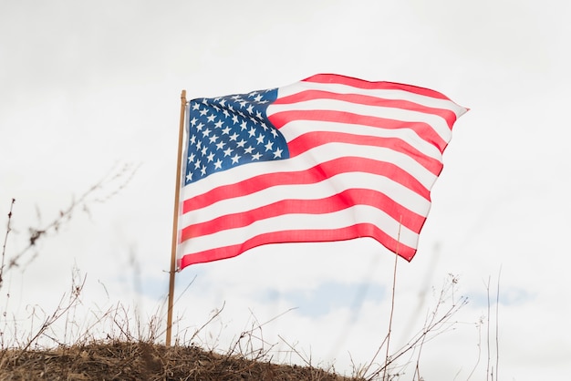 Bandera americana en la colina