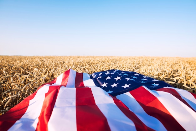 Bandera estadounidense en el campo de trigo que representa una fuerte agricultura, economía y libertad de los Estados Unidos de América