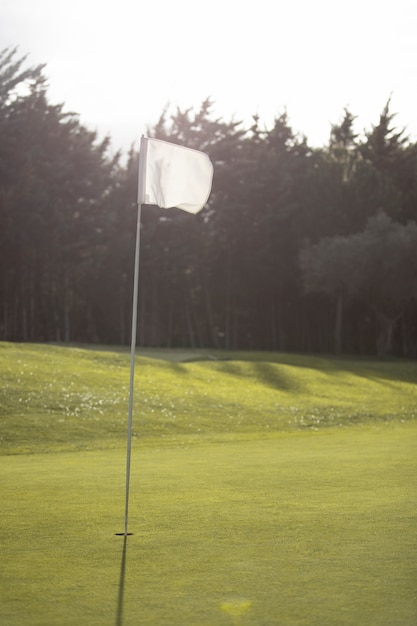 Bandera de golf ondeando en el campo de golf