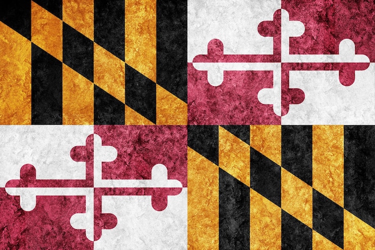 Foto gratuito bandera metálica del estado de maryland, fondo de la bandera de maryland textura metálica