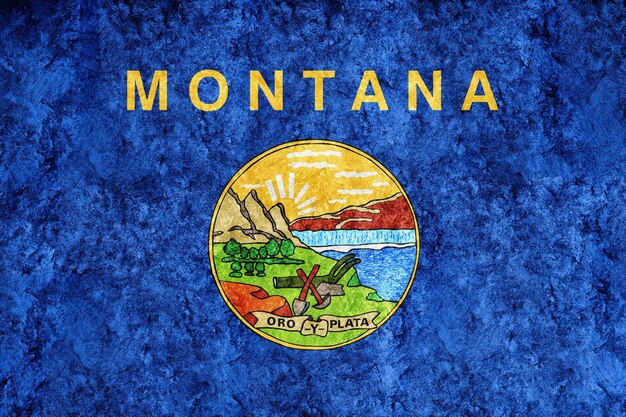 Bandera metálica del estado de Montana, fondo de la bandera de Montana Textura metálica