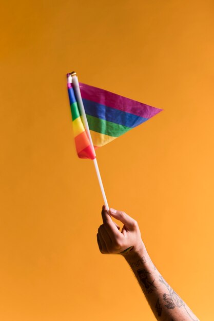 Bandera pequeña del arcoiris LGBT