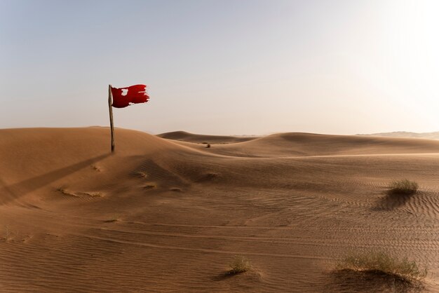 Bandera roja aislada en el desierto