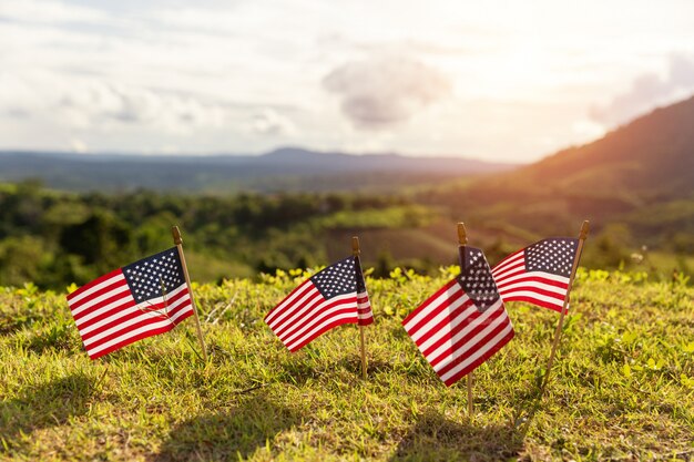 banderas americanas en la hierba