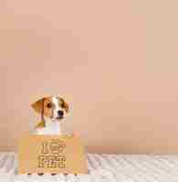 Foto gratuita banner con lindo beagle