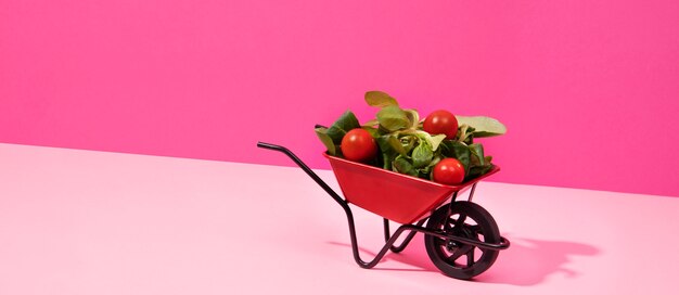 Banner de supermercado con comida