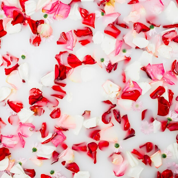 Baño de leche decorado con pétalos de colores