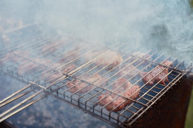 Barbacoa en el bosqueshashlik en la naturaleza Proceso de cocinar carne en primer plano de barbacoa