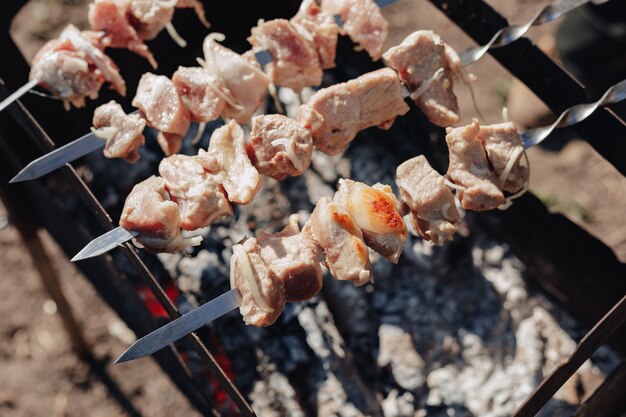 Barbacoa a la parrilla en la naturaleza