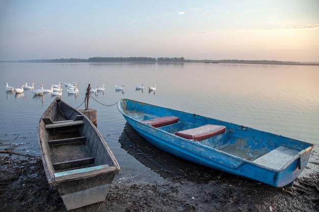 Barcos en la orilla del lago.