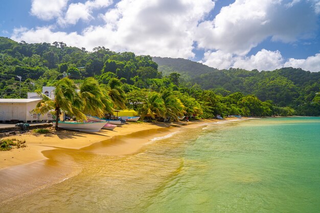 Barcos de pesca estacionados por las cristalinas aguas turquesas del Caribe