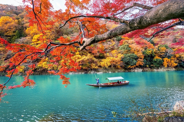 Barquero remar el barco en el río. Arashiyama en la temporada de otoño junto al río en Kyoto, Japón