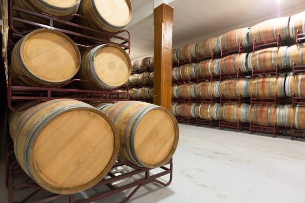 barriles de madera en la bodega