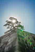 Foto gratuita la base de una torre del castillo del castillo de edo-jo, japón