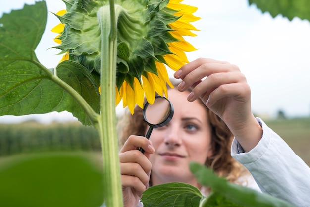 Bastante joven agrónomo experto en el campo de girasol comprobando la calidad de los cultivos