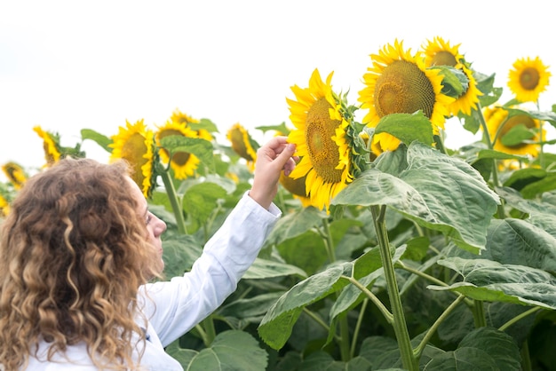 Bastante joven agrónomo experto en el campo de girasol comprobando la calidad de los cultivos