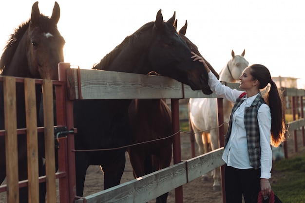 Foto gratuita bastante joven cuida su caballo.