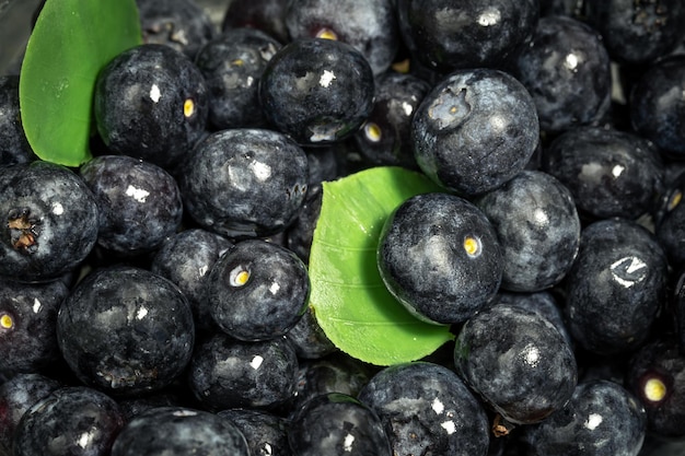 Foto gratuita bayas de arándanos primer plano macro disparo fondo de alimentos