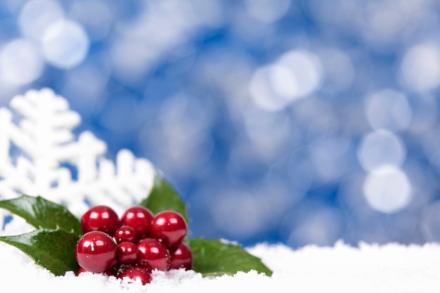 Bayas de navidad y un copo de nieve