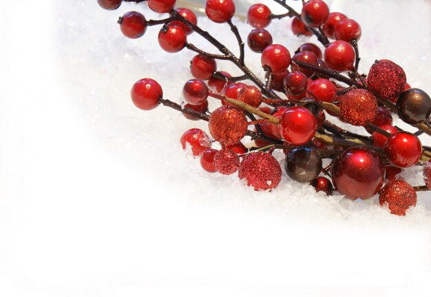 Bayas de navidad ubicadas en la nieve