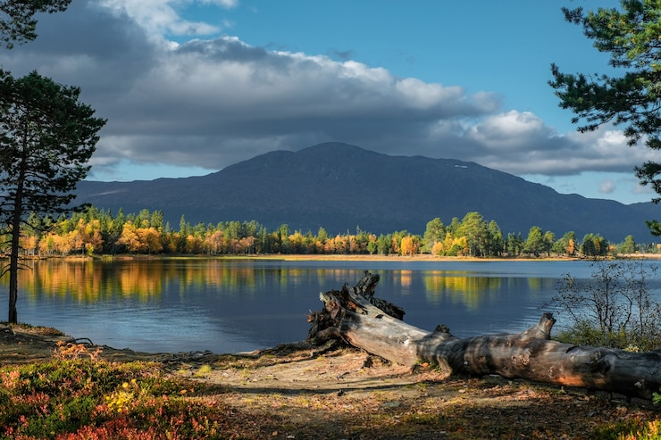 Photo Gratis beautiful shot of natural scenery in autumn