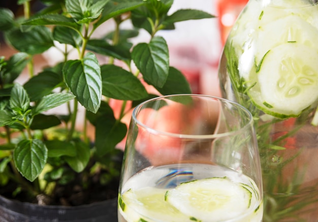 Foto gratuita bebida refrescante con lima