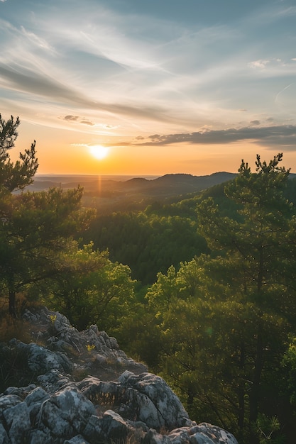 Foto gratuita bella perspectiva del dosel de los árboles con el paisaje natural