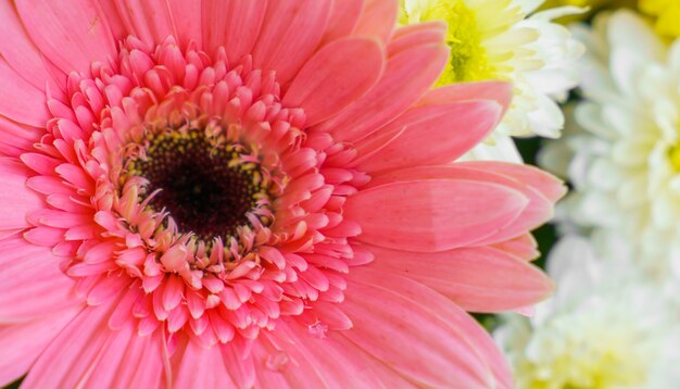 Bellas flores para San Valentín y escena de la boda