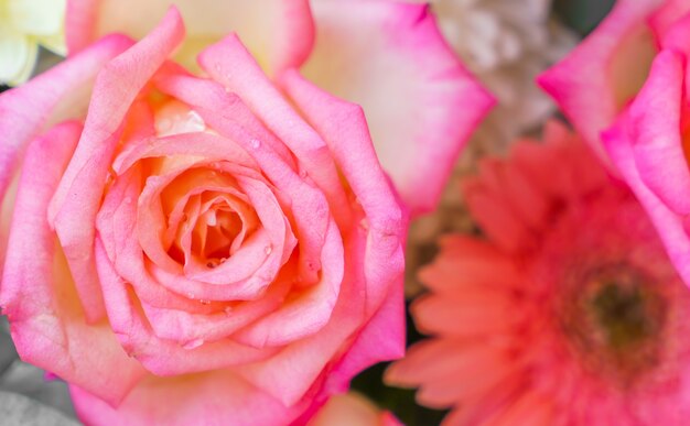 Bellas flores para San Valentín y escena de la boda