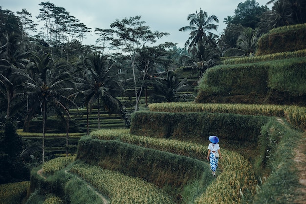 Foto gratuita belleza mujer posando en la subida, naturaleza bali