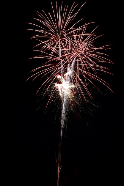 Bellos fuegos artificiales en la noche.