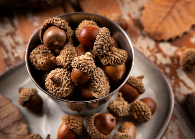 Bellotas de alto ángulo en la mesa bodegón