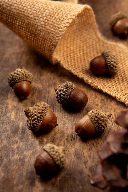 Bellotas de alto ángulo en la mesa bodegón