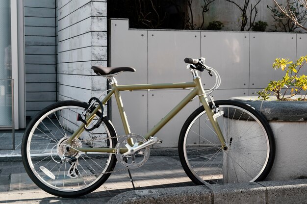 Bicicleta al aire libre con planta
