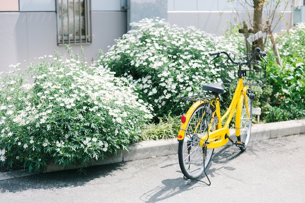 bicicleta amarilla en el parque en Japón