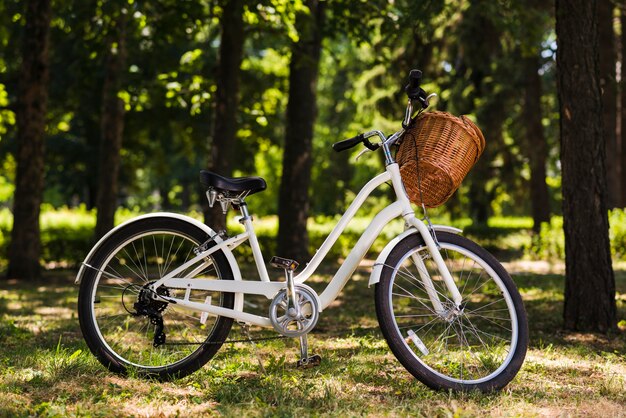 Bicicleta blanca en suelo de bosque