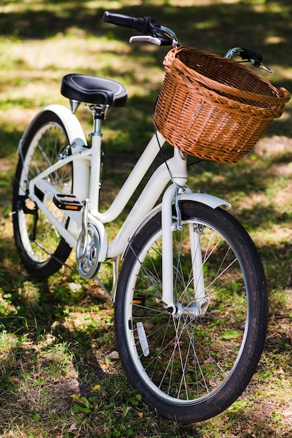 Bicicleta blanca en suelo de bosque