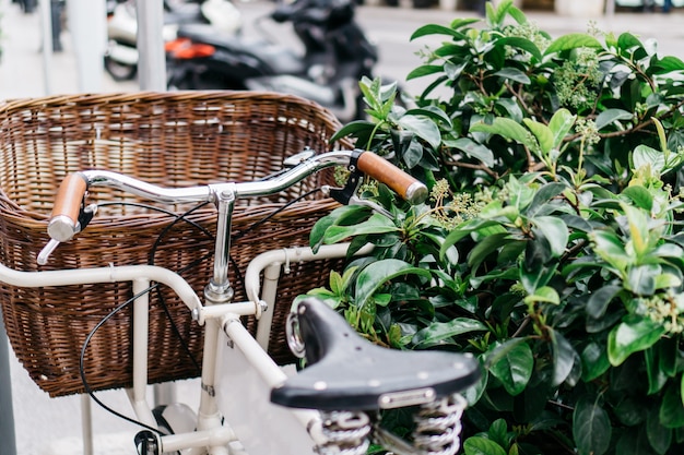 Bicicleta con cesta junto a un arbusto